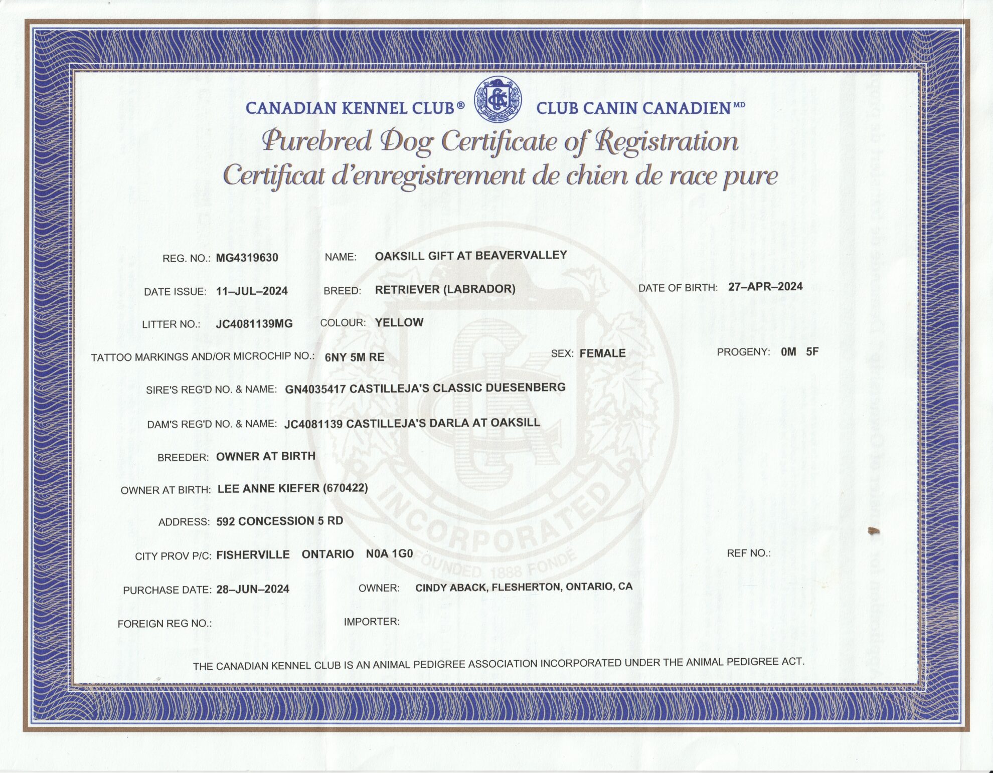 Bailey ckc cert of reg