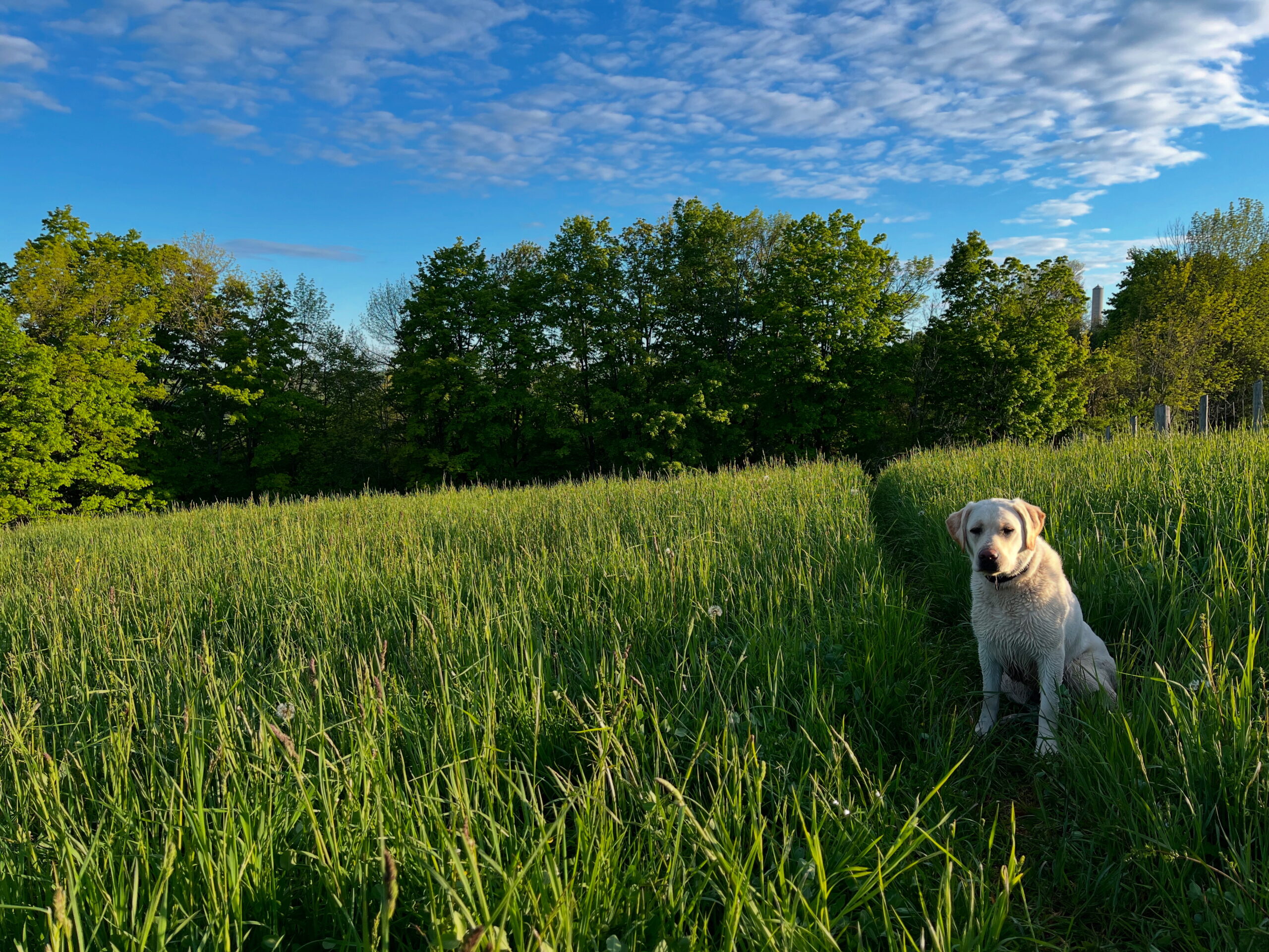 Eab5a7c1 72e7 4d0e 8034 74144b2d22dc