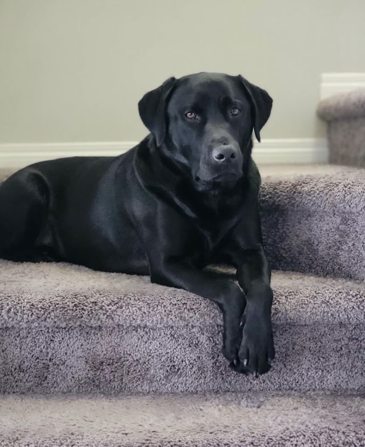 Peace of mind health guarantee